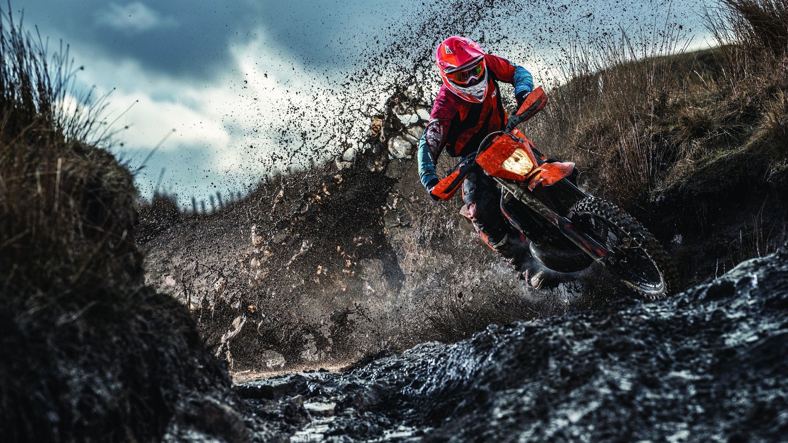 爱游戏官方入口-克瓦拉茨赫利亚，突尼斯沙漠中绽放的格鲁吉亚玫瑰